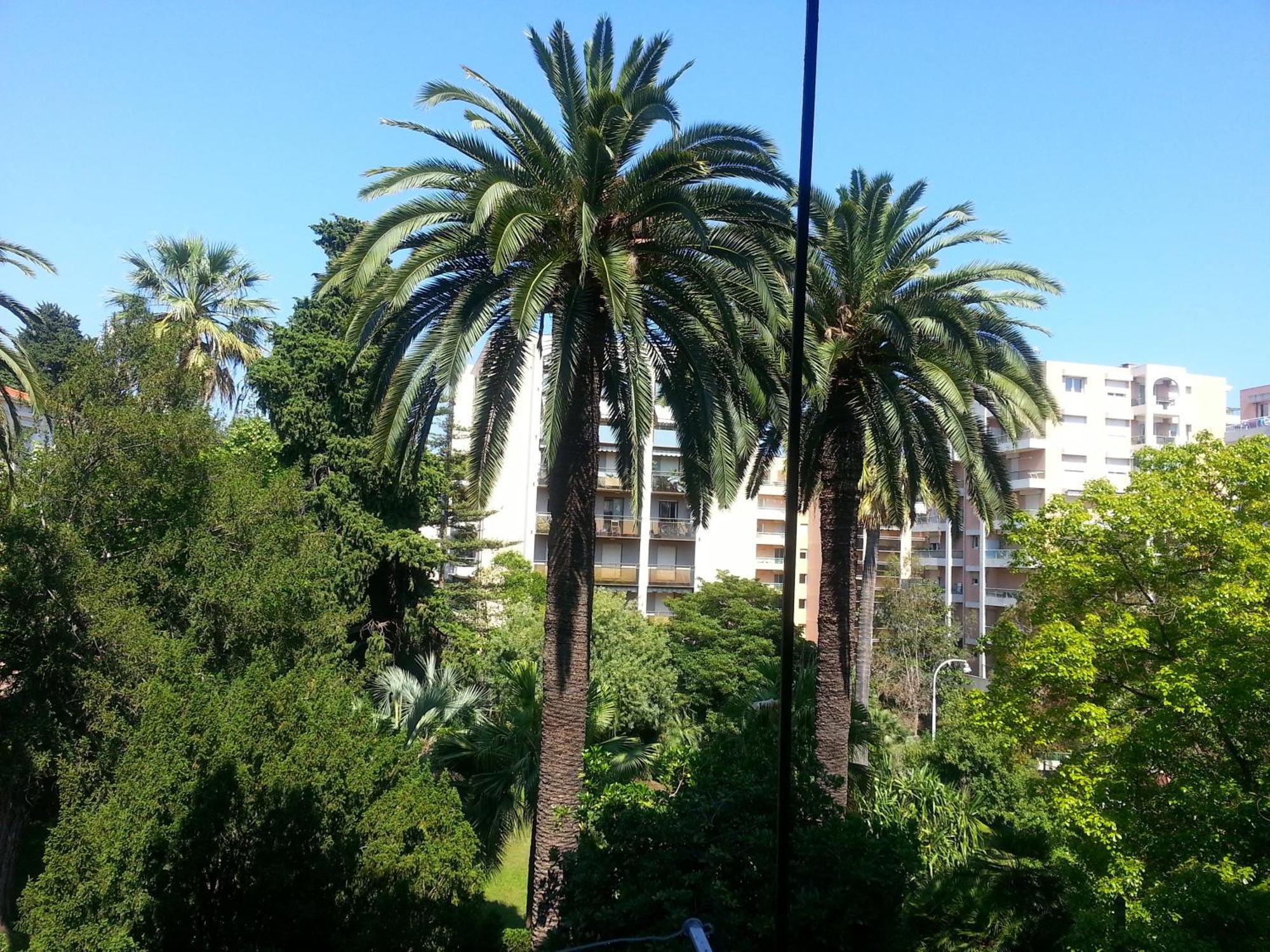 Apartment Palais De Coppet Nice Rom bilde